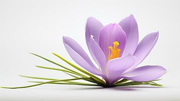 foto de hermosa azafrán flor aislado en blanco antecedentes. generativo ai