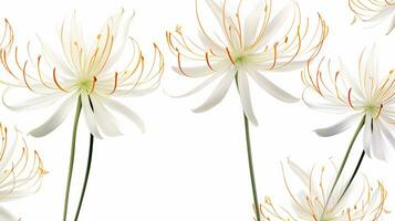 Spider Lily flower patterned background. Flower texture background. Generative AI photo