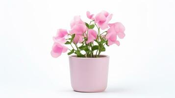 Photo of Sweet Pea flower in pot isolated on white background. Generative AI