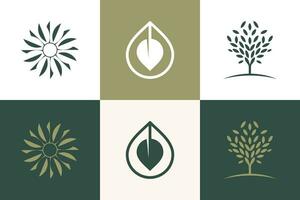 Set of nature and tree logo design vector with creative element concept