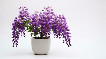 Photo of Wisteria flower in pot isolated on white background. Generative AI