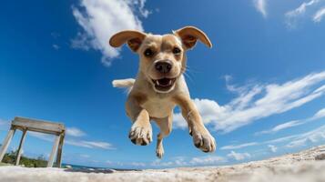 foto de un perro debajo azul cielo. generativo ai