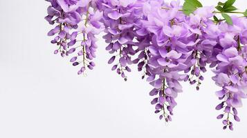 Photo of beautiful Wisteria flower isolated on white background. Generative AI