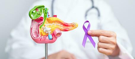 Doctor holding Purple ribbon with human Pancreas model for support Pancreatic cancer November awareness month, Pancreatitis, Digestive system, World Cancer day and Health concept photo