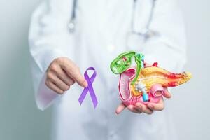 Doctor holding Purple ribbon with human Pancreas model for support Pancreatic cancer November awareness month, Pancreatitis, Digestive system, World Cancer day and Health concept photo