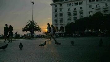 piccioni su il città piazza a tramonto video