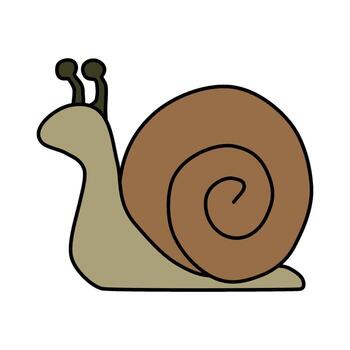a snail with a long shell on a white background vector