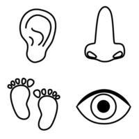 cuatro diferente íconos de el humano cuerpo vector