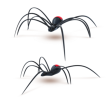 3d representación negro araña lado y lado delantero ver png