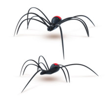 3d le rendu noir araignée côté et face avant vue png