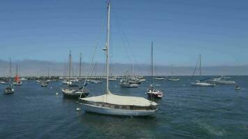 cem do navios em Monterey baía de praia Califórnia e Grosso névoa nuvem névoa em a fundo video