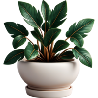 Potted Ornament Plant. AI Generative png