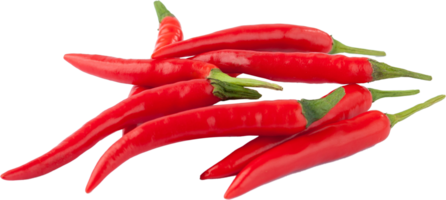 isolated red chilli on transparent background. png