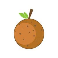 longan fruit icon vector