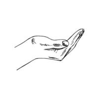 Hand-drawn black-and-white sketch of empty open hand gesture isolated on white background. Eco, ecology care, saving the nature, harvest concept. Doodle vector illustration. Vintage.