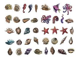 Seashells, octopus, fish, starfish, seahorses, ammonite vector set. Hand drawn colored sketch illustration. Collection of realistic sketches of various  ocean creatures isolated on white background.