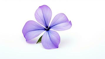Photo of beautiful Periwinkle flower isolated on white background. Generative AI