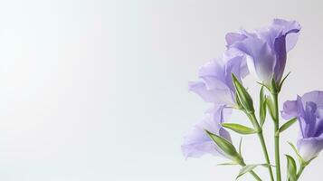 Photo of beautiful Lisianthus flower isolated on white background. Generative AI