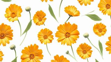 Calendula flower pattern background. Flower background texture. Generative AI photo