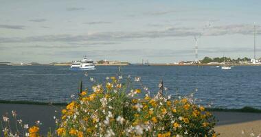 turistiska fartyg segling ner de flod i stad video