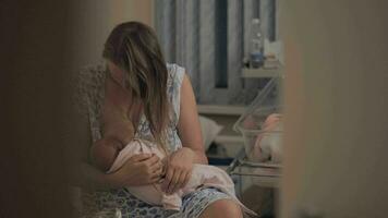 Nursing baby in maternity hospital at night video