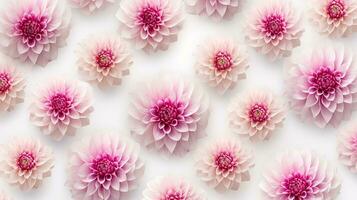 Dahlia flower patterned background. Flower texture background. Generative AI photo