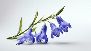 Photo of beautiful Bluebell flower isolated on white background. Generative AI