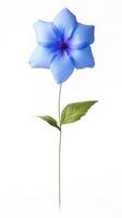 Photo of beautiful Balloon flower isolated on white background. Generative AI