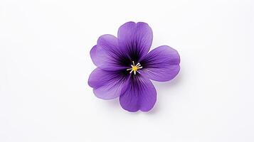 Photo of beautiful Violet flower isolated on white background. Generative AI