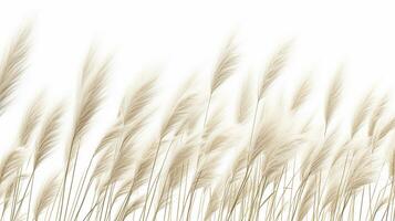 Feather Reed Grass flower patterned background. Flower texture background. Generative AI photo