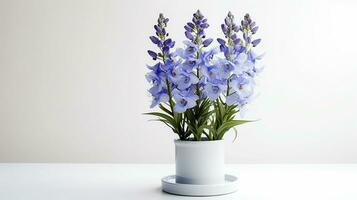 Photo of Delphinium flower in pot isolated on white background. Generative AI