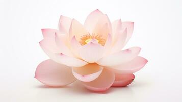 Photo of beautiful Lotus flower isolated on white background. Generative AI