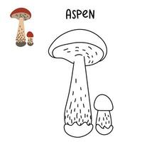 Contour and color drawing of an edible mushroom aspen with names for coloring. Isolated vector flat illustration. aspen. Edible mushrooms in forests, large and small, study, play, creativity on white