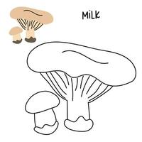 Contour and color drawing of an edible mushroom milk with names for coloring. Isolated vector flat illustration. Edible mushrooms in forests, large and small, study, play, creativity on white