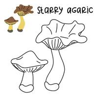 Contour and color drawing of an edible mushroom starry agaric with names for coloring. Isolated vector flat illustration. Edible mushrooms in forests, large and small, study, play, creativity on white