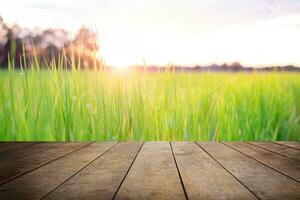 Old wooden floor beside natural blurred green rice field and the sun is rising with white clound background. photo