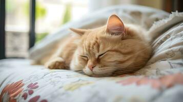 an orange cat sleeping on a bed  ai generative photo