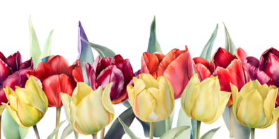 Seamless border of watercolor tulips flowers. Floral design for greeting cards, banners, posters. AI Generative png