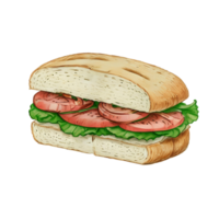 Sandwich. Fast food. Pencil Drawn Illustration. AI Generative png