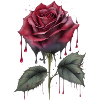 Red rose with watercolor splashes . Floral design element AI GENERATIVE png