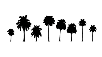 albero silhouette impostato isolato su trasparente sfondo ai generato png