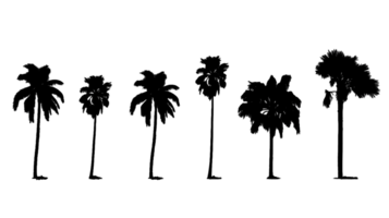 albero silhouette impostato isolato su trasparente sfondo ai generato png