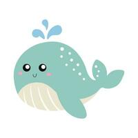 Whale underwater illustration animal vector clipart.
