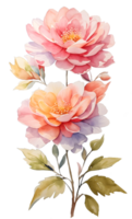 acquerello e pittura fioritura colore fiori. impianti e floreale illustrazione. ai generato png