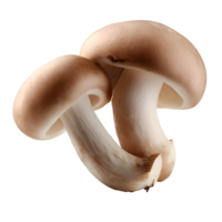 frisch Champignon Pilze auf transparent. ai generiert png