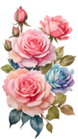 vattenfärg och målning blomning rosa ro blommor. växter och blommig illustration. ai genererad png