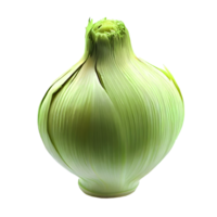 Fresh Onion vegetable on transparent. AI Generated png