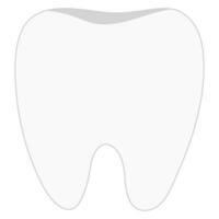 Clean tooth isolated on white background. vector