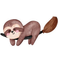 Halloween Sloth, Cute Sloth, Halloween png