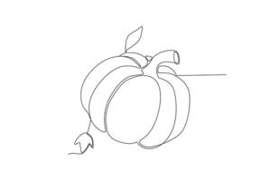 A pumpkin with its leaves vector